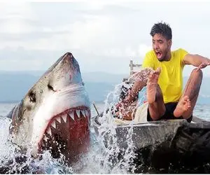 وحوش اقیانوس؛ حمله کوسه جبار به قایق ماهیگیری شبیه جنگنده‌ها همه چی منهدم کرد