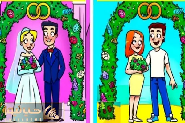 هوش انیشتینی