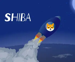 پارتی جنجالی آخرسالی شیبااینو!