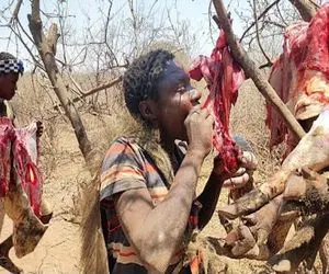 جنگجویان طبیعت؛ بربرهای برهنه با تیرکمون گراز وحشی شکار کردن گوشتشو خام خوردن