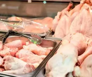 قیمت مرغ امروز پنجشنبه ۱۷ اردیبهشت ۱۴۰۵