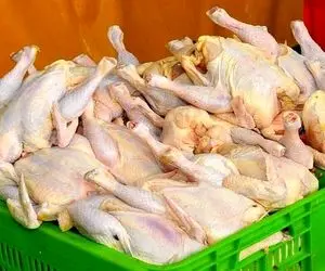  مرغ ۴۰ هزار تومانی به بازار می‌آید؟