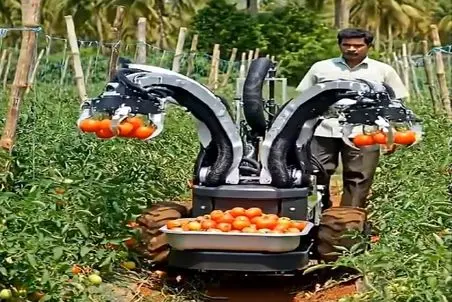 کشاورزی نوین؛ ماشین گوجه چین ساختن کشاورز قدم میزنه لذت میبره اون کار میکنه