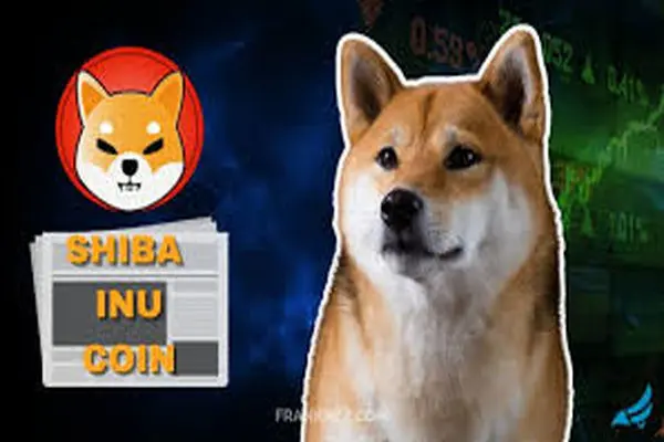 SHIBAINU
