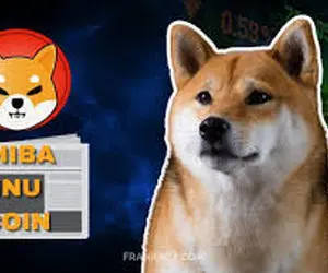 تغییراتی مهم از شیبااینو!