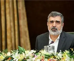 کمالوندی درباره توافق با آژانس بین‌ المللی اتمی فاش کرد/قرار توقف غنی سازی 60% نداشتیم