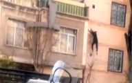 لحظه سقوط مرگبار دزد در جوادیه تهران+فیلم