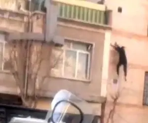 لحظه سقوط مرگبار دزد در جوادیه تهران+فیلم