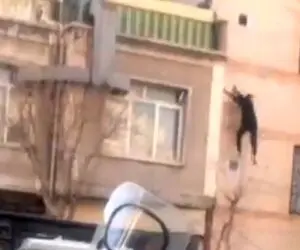 لحظه سقوط مرگبار دزد در جوادیه تهران+فیلم