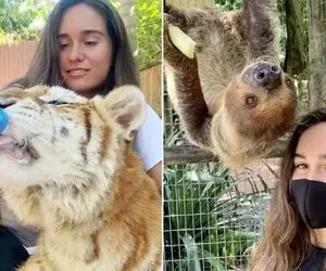 مراقبت از انواع حیوانات توسط یک دختر جوان 