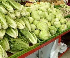 انجار قیمت در بازار سبزیجات؛ قیمت کاهو به کیلویی ۱۲۰ هزار تومان رسید!