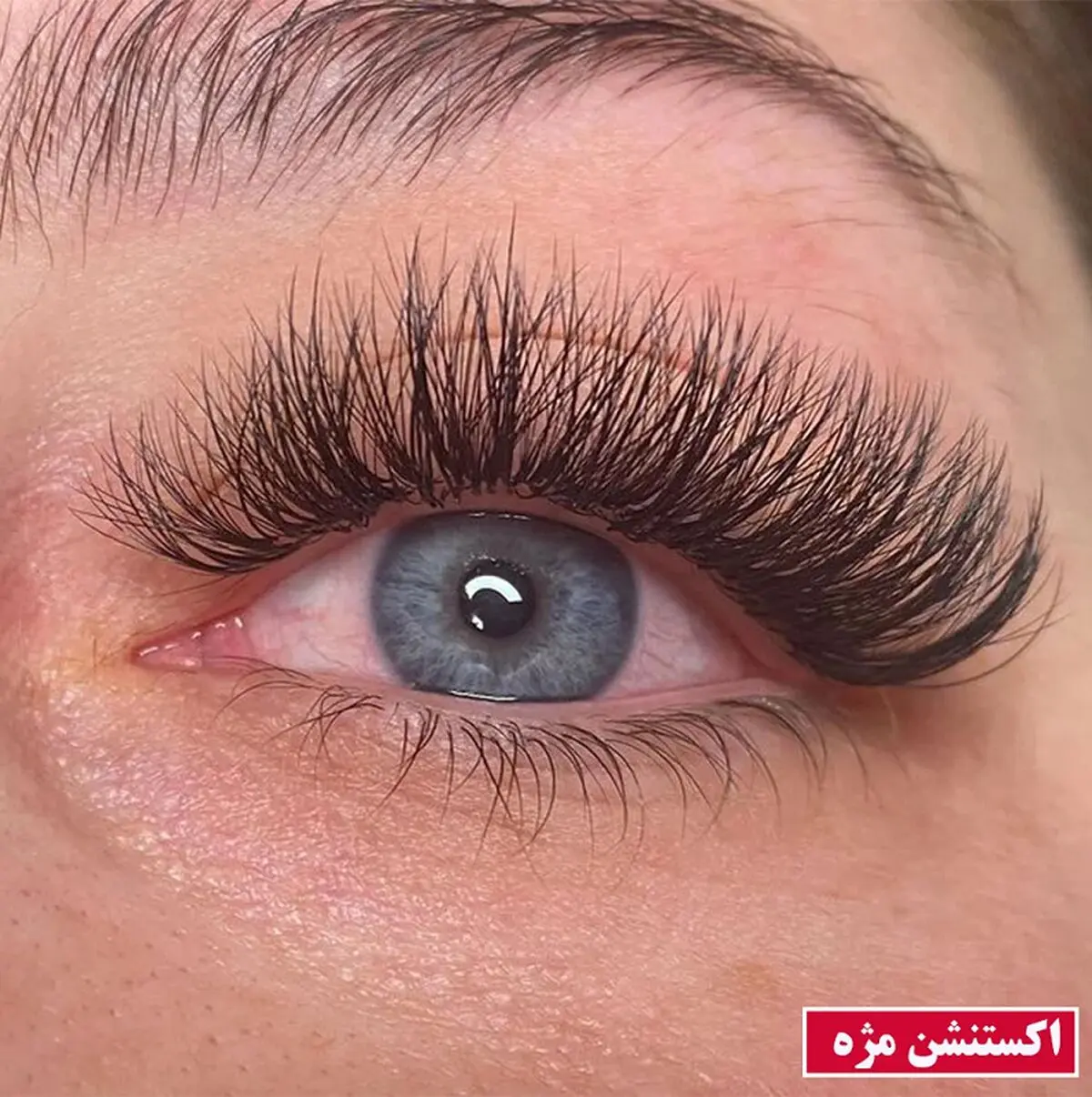 انواع کاشت مژه