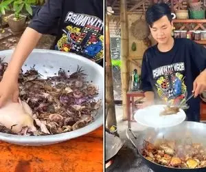 غذای چندش ؛ خوراک اردک و خرچنگ دیگه چه صیغه ایه ؟ جوری میخوره که دلت ریش میشه از ترس