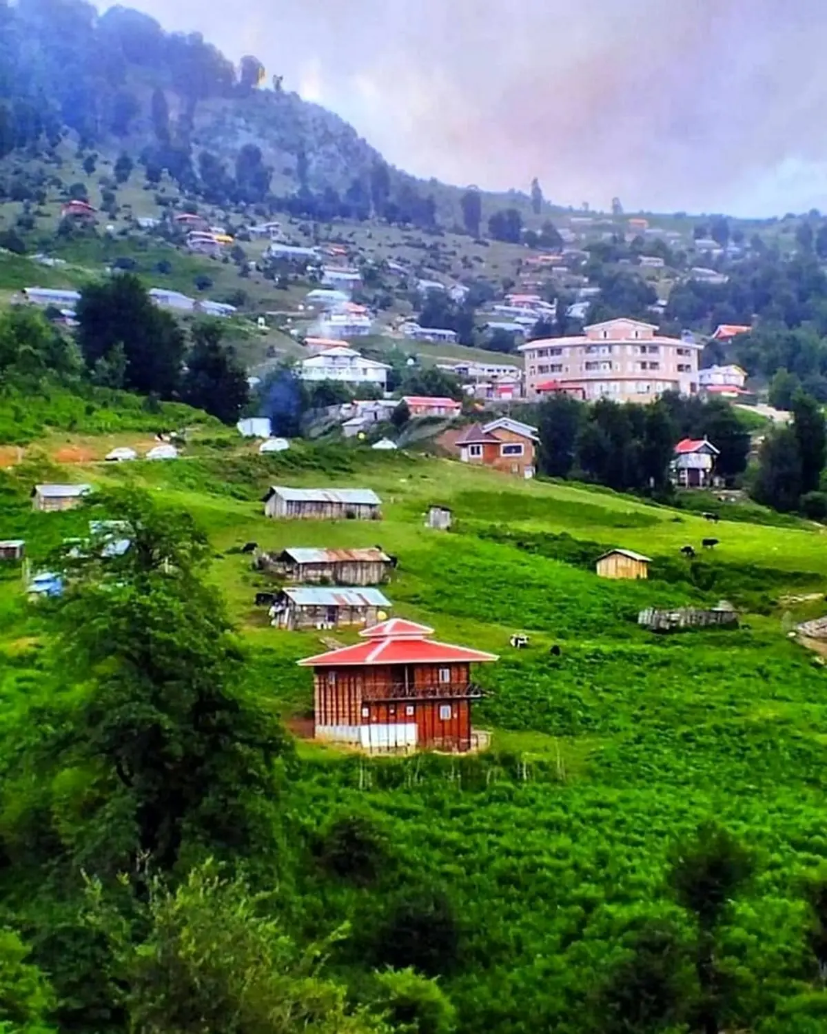 هلودشت گیلان