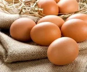 درج قیمت مصوب روی تخم مرغ الزامی شد ، تخم مرغ چند؟