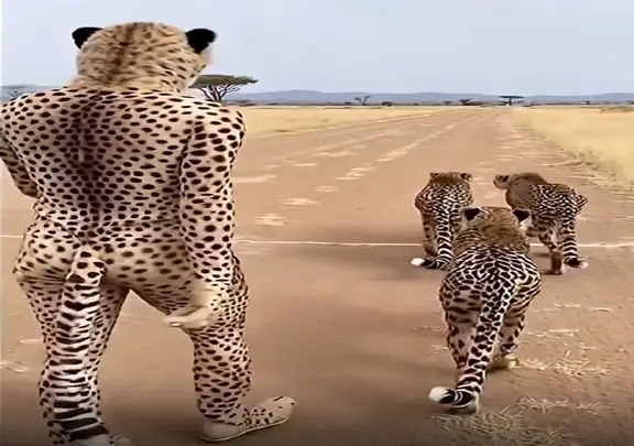 معماری طبیعت؛ پلنگا خیلی خونگرمن مرده فقط لباس پلنگی پوشیده باهاش رفیق شدن