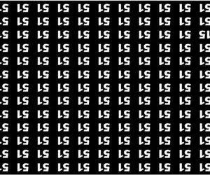 بازی فکری؛ عدد 15 وارونه رو بین اینهمه 51 وارونه پیدا کنی نوبل رو بردی بی چون و چرا