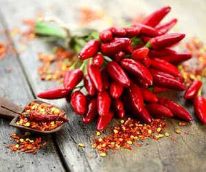 کشاورزی نوین؛ کاشت و فرآوری فلفل هایی که عجیب تنده و مثل آتش می سوزاند