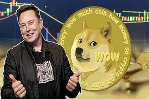 DOGCOIN