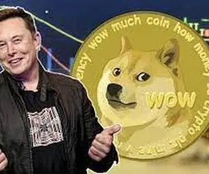 رابطه جنجالی تسلا و دوج کوین!