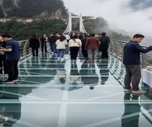 معماری طبیعت؛ بیچاره ها آخرین صحنه ی عمرشون رو دیدن