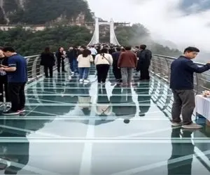 معماری طبیعت؛ بیچاره ها آخرین صحنه ی عمرشون رو دیدن