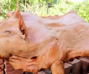 غذای غول پیکر ؛ برای ناهارشون خوک بخت برگشته رو دونه دونه موهاشو کندن و کبابش کردن!