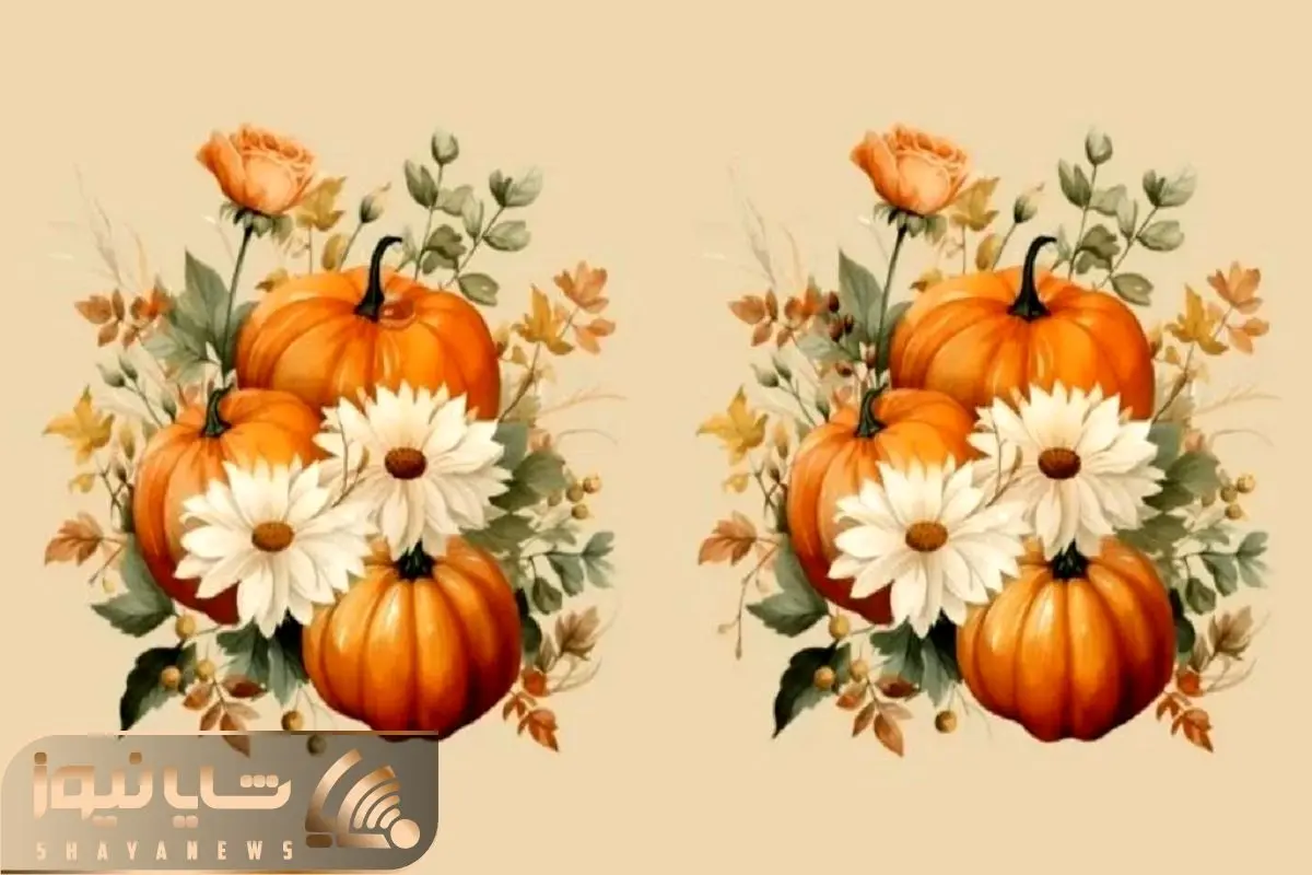 بازی فکری؛ پیدا کردن 4 تفاوت تصویر پاییزی کار هر چشم و دید عادی ای نیست