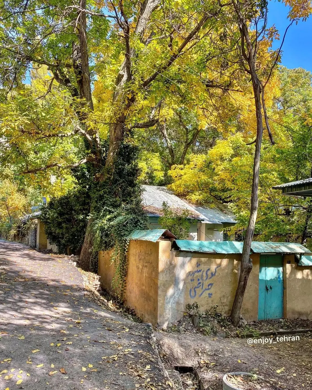 123002522_180852313527850_3229627307777439275_n