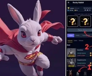 کارت راکی رابیت (Rocky Rabbit) امروز جمعه 2 شهریور + آموزش