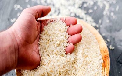 قیمت جدید برنج ایرانی در بازار چند؟