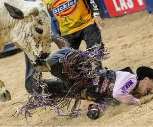 تاخت‌وتازهای خونین؛ گاو عصیانگر چهارنعل از رو سر گاوچرون رد شد صورتش منهدم شد