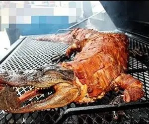 کباب تمساح؛ پوست تمساح غول پیکر رو با ساطور کند میل داغ از دهنش رد کرد بریونی شه