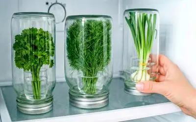 ترفندهای خانگی؛ دیگه سبزی رو فریز نکن اینجوری تو یخچال تازه میمونه