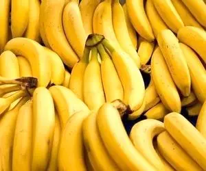  هزار تن موز در گمرک فاسد می شود!