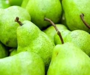 گلابی کیلویی ۱۲۵ هزار تومان! / مشکل در تامین نارنگی شب عید