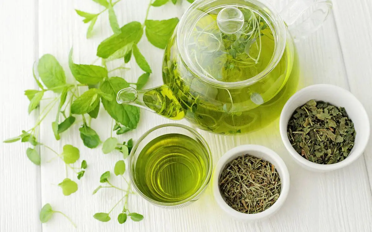 green-tea-weight-loss-FTR