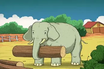 بازی فکری؛ اگه بتونی حیوان پنهان شده پیش فیل رو پیدا کنی باید بری برای خلبانی f500