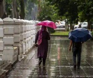 بارش باران در نوار شمالی کشور