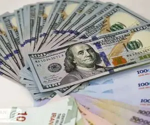 پیش بینی قیمت دلار ۱۳ دی ۱۴۰۳ / دلار در تله بازارساز افتاد؟