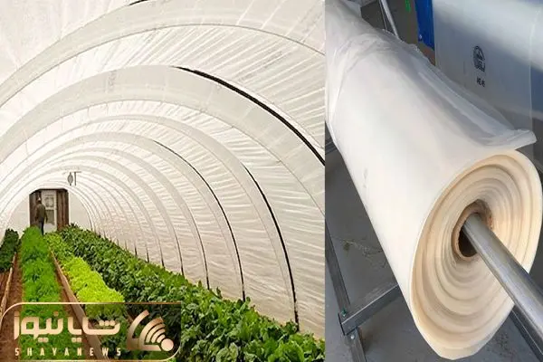 نایلون عریض