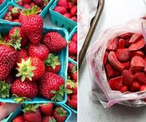 فریز کردن توت فرنگی با حفظ مزه؛ کلی ترفند داره ها همین جوری یِبارکی نندازیشون تو فریزر