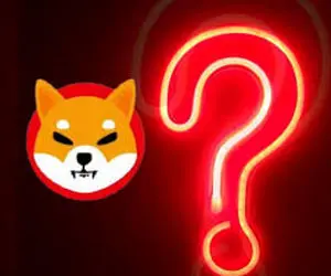 دقیقاکدام  دسته از سرمایه گذارن شیبااینو برنده هستند؟