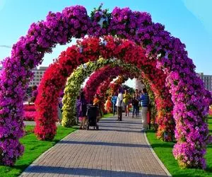 آواز اصیل؛ با شنیدن این اهنگ وسط سرما قلب پر از حس بهاری میشه و روحت پرواز میکنه