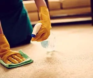 ترفندهای خانه داری؛ وقتی چای روی فرش میریزه چکار بکنیم؟