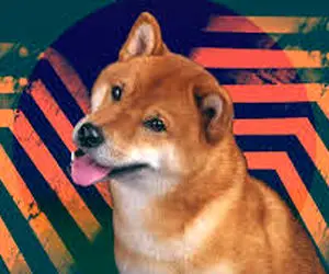 بخاطر این حرکت شیبا کاربران هاج و واج ماندن!