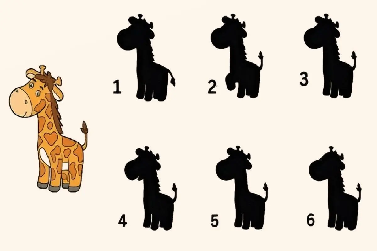 تست-هوش-یافتن-سایه-درست-زرافه