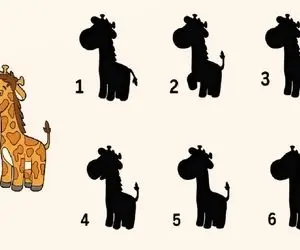 بازی فکری؛ دقت و تمرکزت لایک طلایی داره اگه بتونی سایه زرافه رو درست حدس بزنی