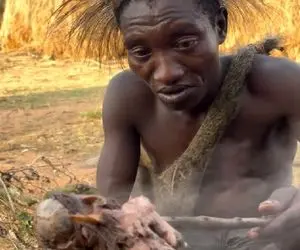 قبایل ناشناخته؛ بربرهای نون به سر زدن سیم آخر معلوم نیس بچست یا میمون زنده  که خوردنش