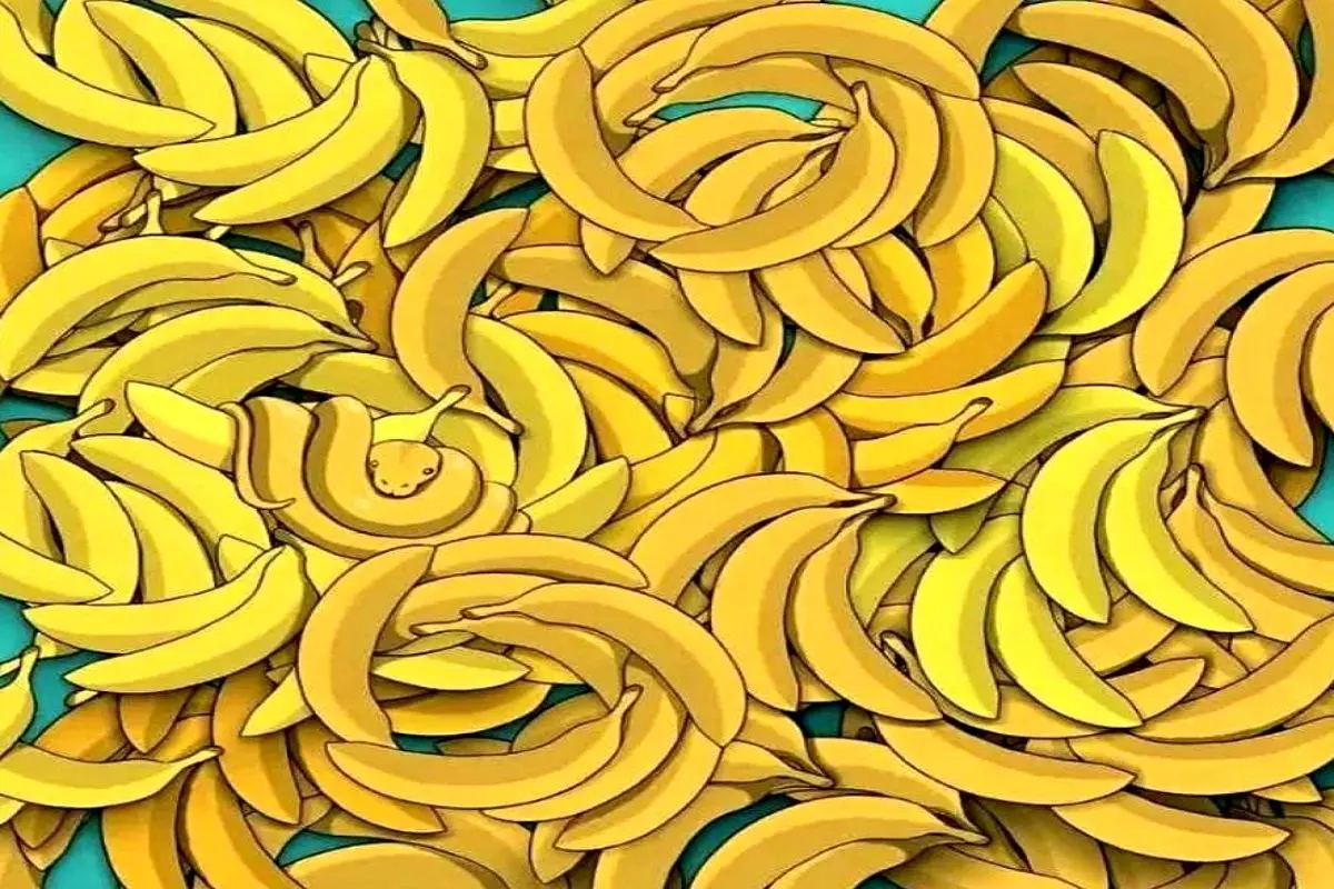 بازی فکری؛ دیدت باید اولترا باشه تا بتونی مار مموش رو بین موزها پیدا کنی